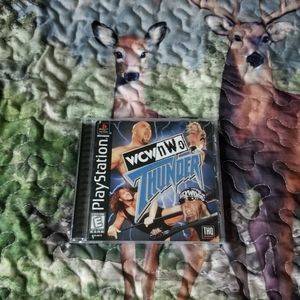 WCW/NWO Thunder